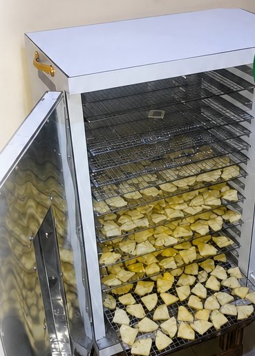 Déshydrateur alimentaire intelligent AUI TECHNO, porte ouverte sur des plateaux grillagés chargés de fruits en cours de séchage